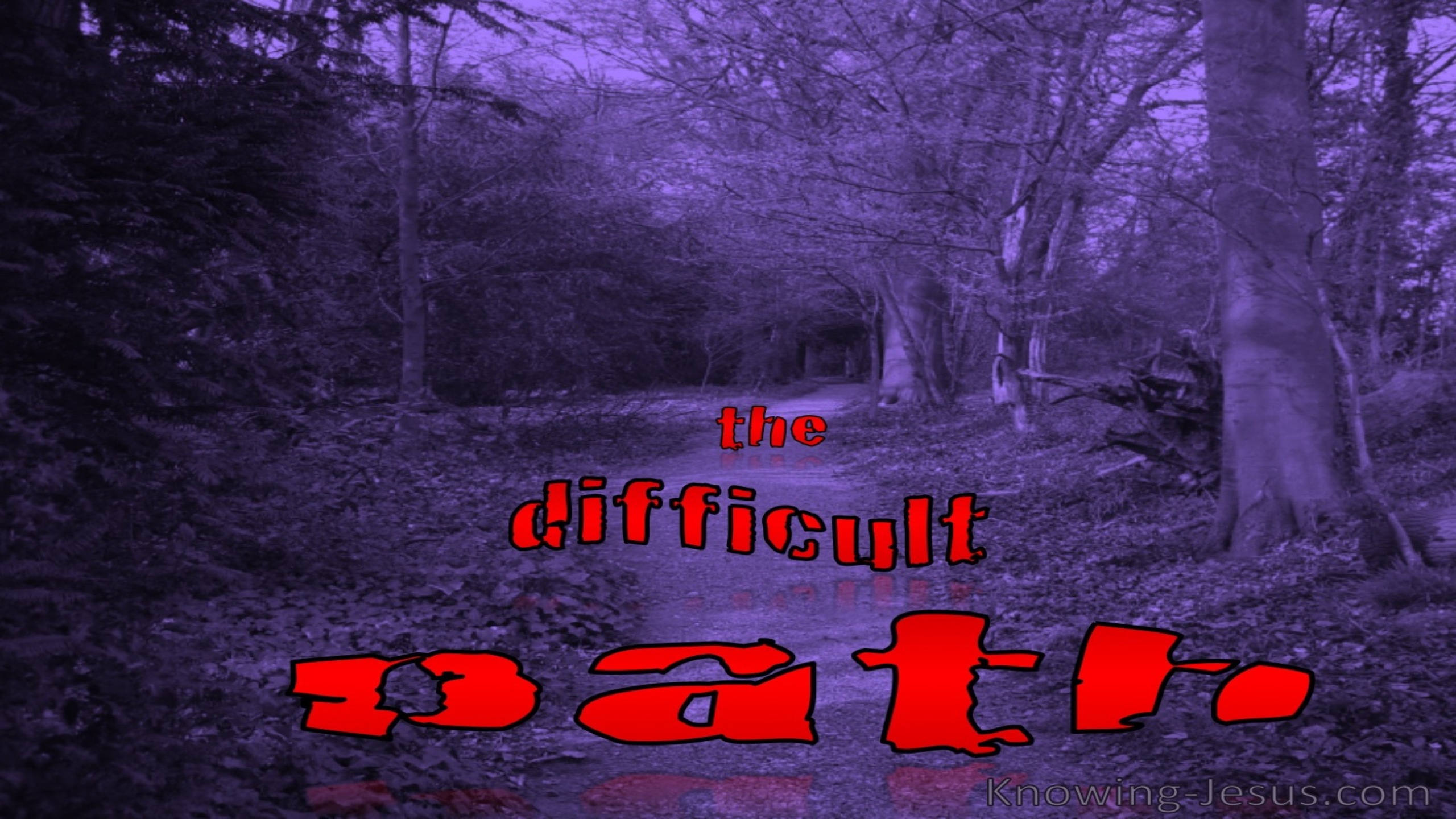 The Difficult Path Devotional (purple)